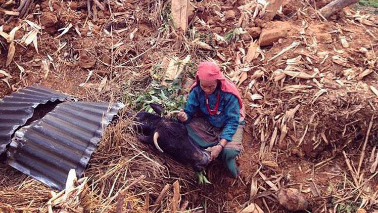 Tragedia en Nepal: cómo reconstruir la vida sobre las ruinas