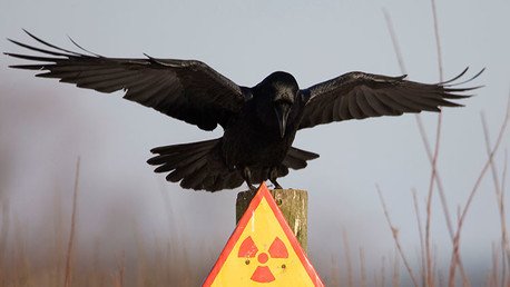 "El objetivo de Obama es desplegar misiles nucleares en Ucrania"