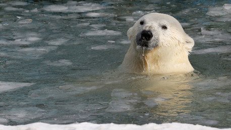El increíble declive del hielo del Ártico, recreado por 'The Washington Post'