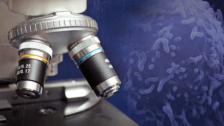 Investigadores de cáncer descubren la 'fuente de la juventud'