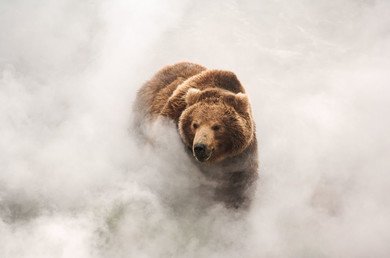La extraordinaria península de Kamchatka, como nunca la habían visto