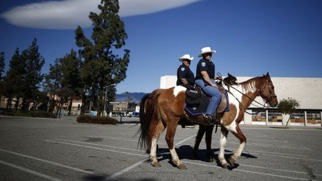 Video: Policías de EE.UU. golpean a un hombre que robó un caballo
