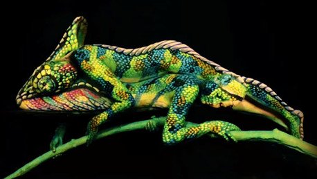 ¿Quién camina realmente por esta rama?