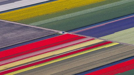 Las mejores fotos de la semana 