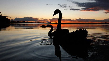 ¿Ha liberado China un 'cisne negro' económico?