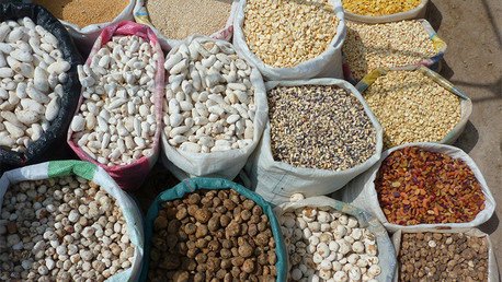 Tocosh, la milenaria penicilina natural de los Andes que no pasa de moda en Perú 