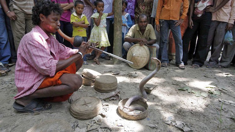 Los 15 mitos científicos que nos seguimos creyendo