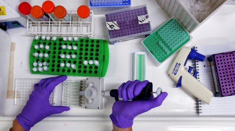 Científicos españoles encuentran el talón de Aquiles del cáncer