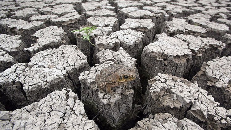 Dramáticas fotos de cómo El Niño cambia la cara del planeta silenciosamente