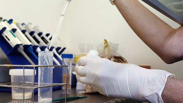 ¿Se está realizando un megaexperimento con alimentos transgénicos en México?