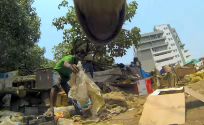 Así es la dramática existencia del perro solitario