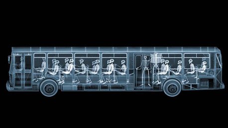 La cámara que todo lo ve: Increíbles imágenes hechas con rayos X revelan la otra cara del mundo