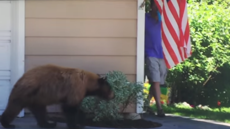 Un hombre y un oso se cruzan por casualidad y salen corriendo en direcciones opuestas