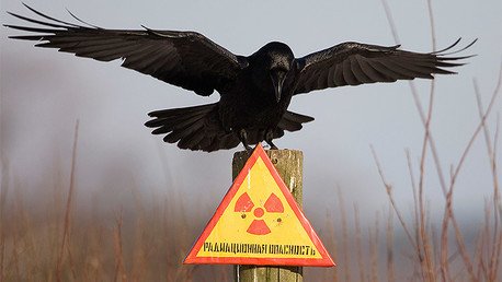 Ocho hechos clave sobre tecnología nuclear que muchos peligrosamente ignoran