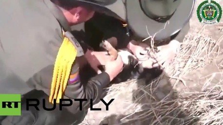 Antioquia: Policías rescatan a un perrito de un río arriesgando la propia vida 