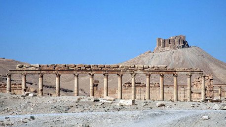 Contra los "dobles raseros": Rusia pide unidad internacional frente al empuje del EI en Palmira