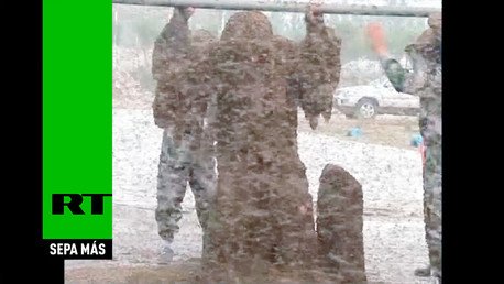 Un chino se 'pone' más de un millón de abejas y bate un récord mundial