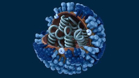 Encontrada la 'panacea' para curar el cáncer de piel con la ayuda del virus del herpes