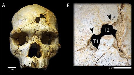 Video, fotos: Así ocurrió el primer asesinato documentado de la historia