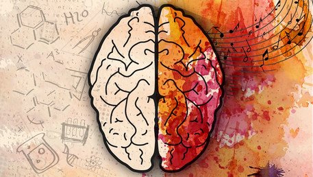 Científicos ganan la batalla contra la amnesia al restaurar la memoria en ratones