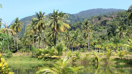Conozca a un hombre que compró parte del Amazonas por un loable motivo