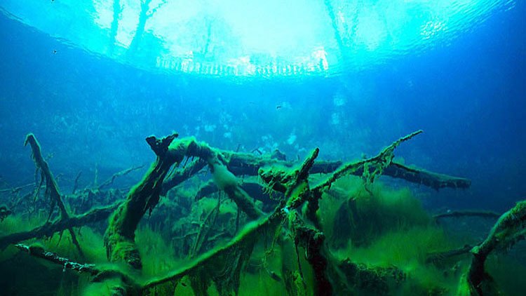 Video, fotos: El misterioso lago ruso 'sin fondo' que quita el sueño a buceadores y científicos
