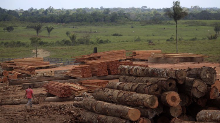 A cuánto asciende la deuda que el ser humano tiene con la naturaleza