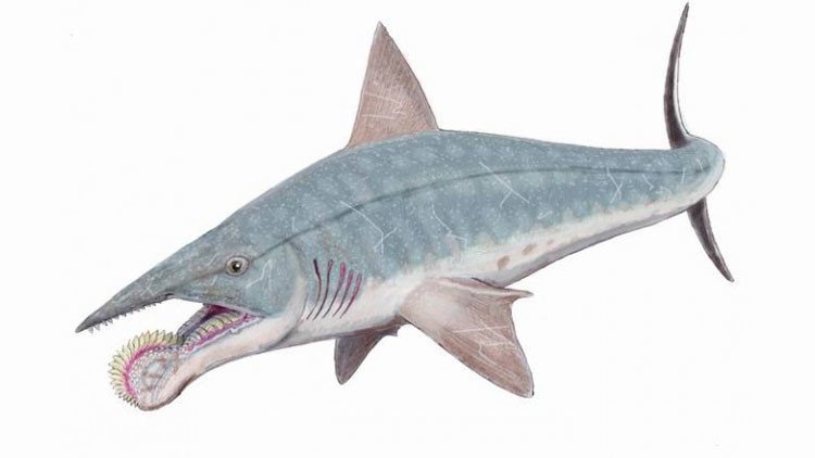 Las 5 criaturas extintas más antiguas y sorprendentes que los dinosaurios