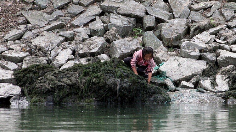 "El desastre humanitario es inminente": la ONU advierte de una hambruna en Corea del Norte