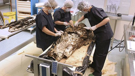 Fotos: Hallan una dama noble del siglo XVII enterrada con el corazón de su marido  