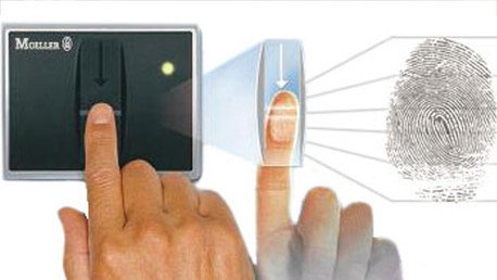 Científicos rusos: El potencial, la felicidad y el destino de cada persona está en los dedos