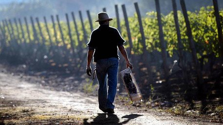 Banco Interamericano de Desarrollo: "América Latina puede ser la despensa del mundo"