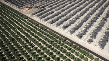 Ricos californianos: "No somos iguales cuando se trata del agua"