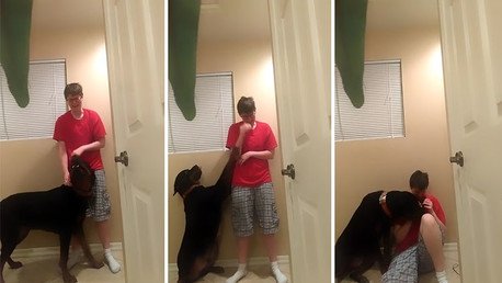 Un rottweiller ayuda a superar una crisis a su ama con síndrome de Asperger