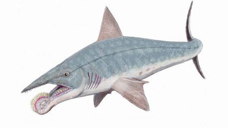 Las 5 criaturas extintas más antiguas y sorprendentes que los dinosaurios