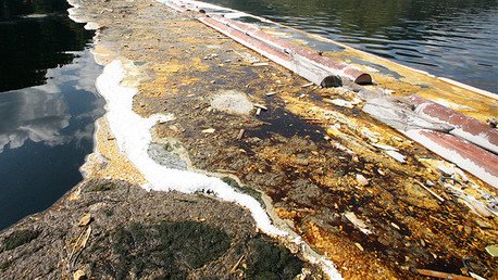 México: Una mina canadiense causa un derrame tóxico de 4.500 litros en Guanajuato