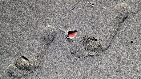 Descubren las huellas humanas más antiguas de América del Norte