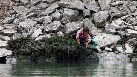 "El desastre humanitario es inminente": la ONU advierte de una hambruna en Corea del Norte