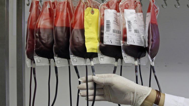 La solución está en la sangre: descubren cómo revertir el deterioro mental asociado a la edad