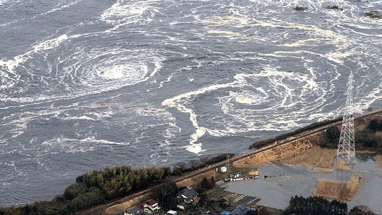 Fukushima: "La respuesta no tiene nada que ver con la ciencia; es cuestión de política y dinero"