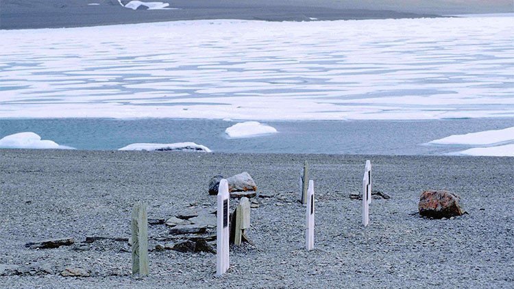 Fragmentos de huesos revelan casos de canibalismo de marineros británicos del siglo XIX