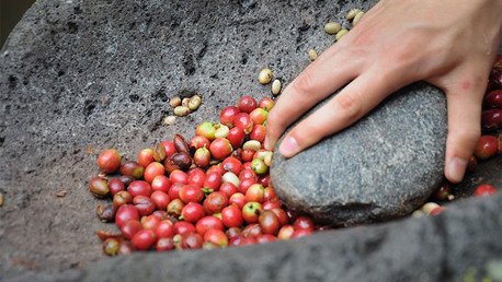 Las infancias extraviadas en los cafetales de Perú