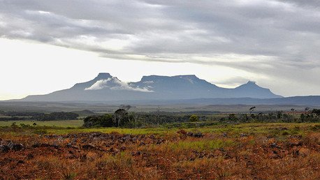 Amazonia: Resuelven la paradoja de Gran Sabana que se salva del fuego gracias a los incendios