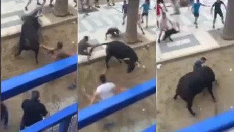 Impactante momento en el que un toro cornea a un hombre durante fiesta taurina en España