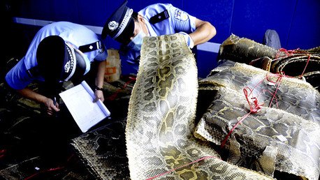 De la Tierra a Plutón: Cómo vivió el mundo esta semana en impresionantes fotos
