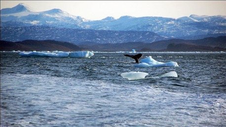 "Alto peligro": Nivel del mar podría aumentar más de tres metros en medio siglo