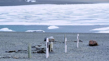 Fragmentos de huesos revelan casos de canibalismo de marineros británicos del siglo XIX