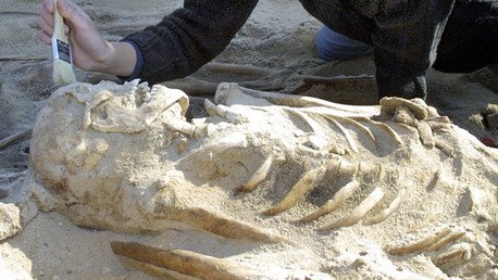 Ejército de Napoleón sufrió inanición en su aventura rusa