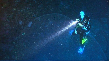 Esta gigante burbuja marina dejó a los buzos con la boca abierta