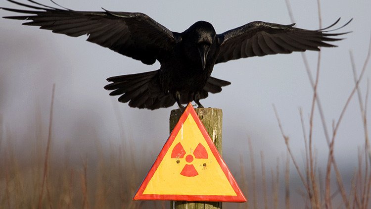 Solo una materia prima ha escapado del colapso total de los precios